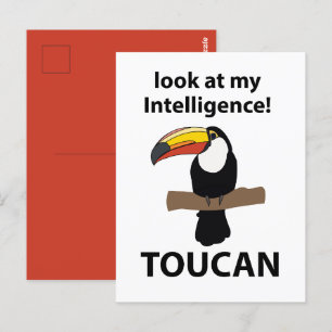 Cartão Postal Toucan Bird Tropical Engraçado