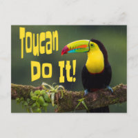 Toucan Faz Isso! Pássaro Colorido Funny