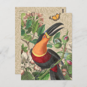 Cartão Postal Toucan Jungle Tropical Bird Beauful Antiguidade