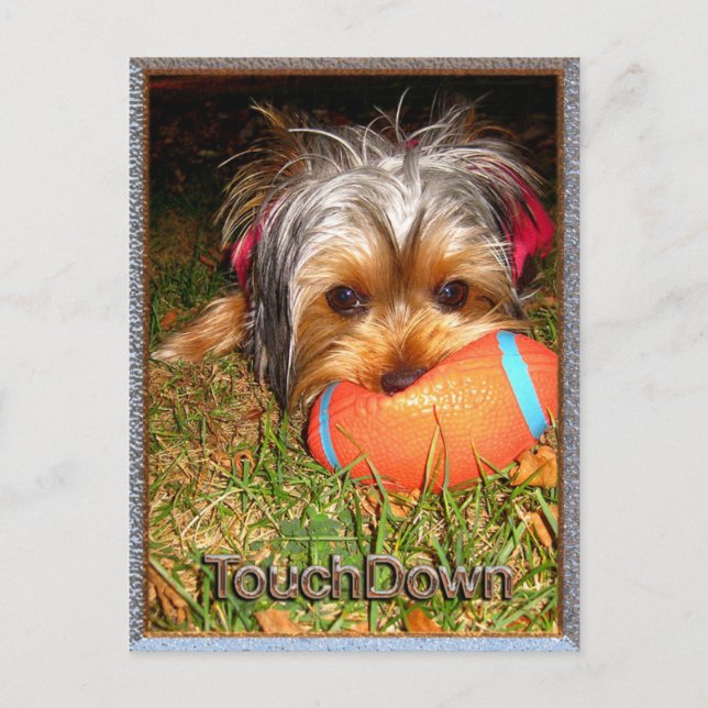 Cartão Postal TouchDown Yorkie (Frente)