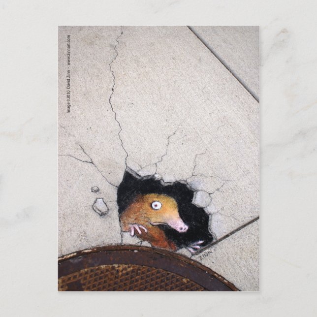 Cartão Postal toupeira (Frente)