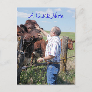 Cartão Postal Touro e vacas Pinzgauer - personalize