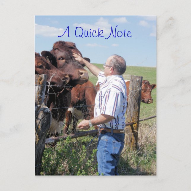 Cartão Postal Touro e vacas Pinzgauer - personalize (Frente)