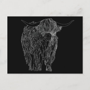 Cartão Postal Touro Highland escocês