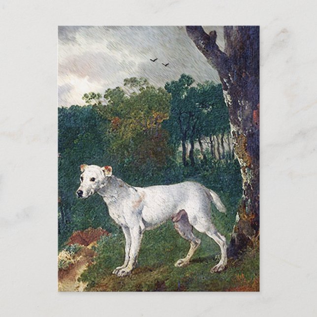 Cartão Postal Touro Terrier Painting - Vintage Fine Art (Frente)