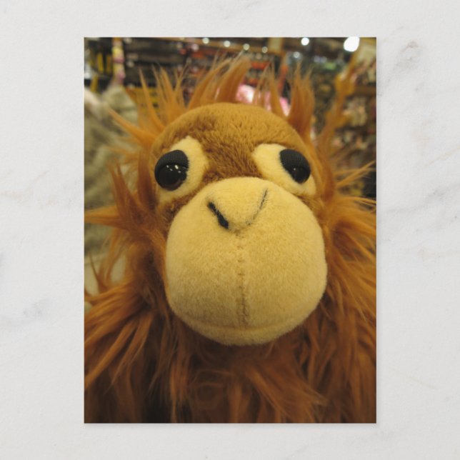 Cartão Postal Toy Ape (Frente)