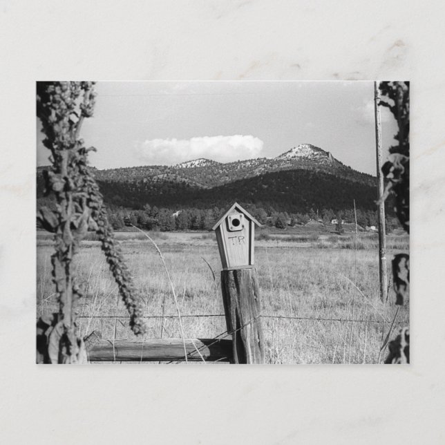 Cartão Postal TR Bluebird House (Frente)