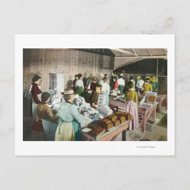 Cartão Postal Trabalhadoras Embalando GoodiesFresno, CA (Frente)