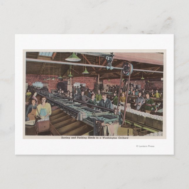 Cartão Postal Trabalhadores e Fábrica de Classificação e Embalag (Frente)