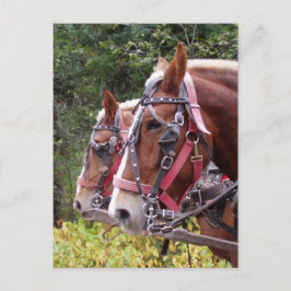 Cartão Postal Trabalhando