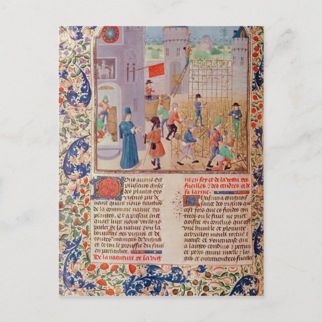 Cartão Postal Trabalhando na Vinha (Frente)
