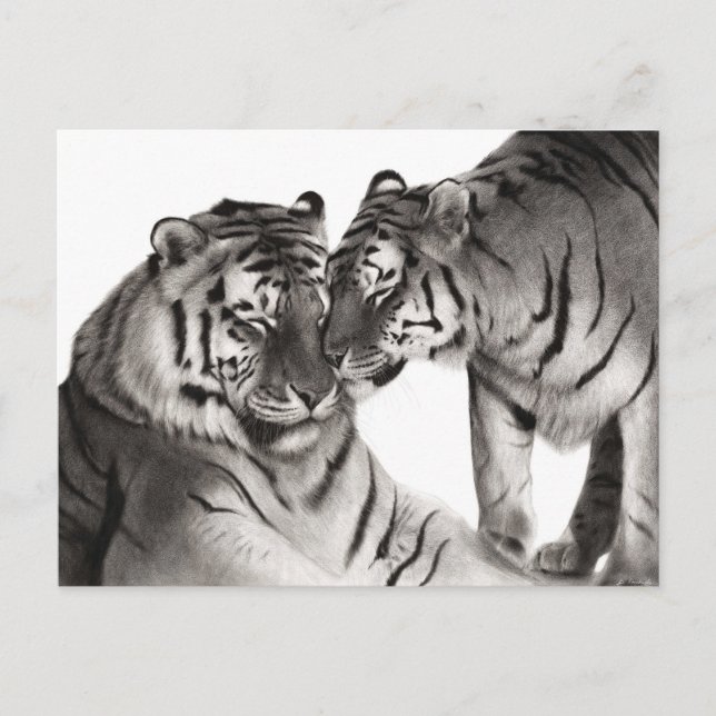 Cartão Postal Trabalho de arte de animais selvagens pintados à m (Frente)