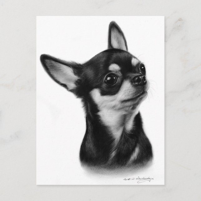 Cartão Postal Trabalho de arte De Cão Chihuahua Pintado De Cabel (Frente)