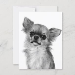 Cartão Postal Trabalho de arte de Chihuahua pintado à mão