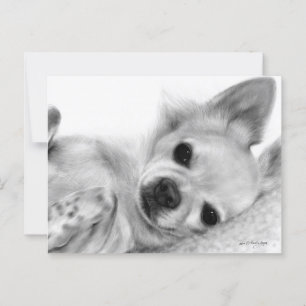 Cartão Postal Trabalho de arte de Chihuahua, pintado à mão