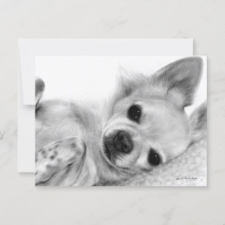 Cartão Postal Trabalho de arte de Chihuahua, pintado à mão