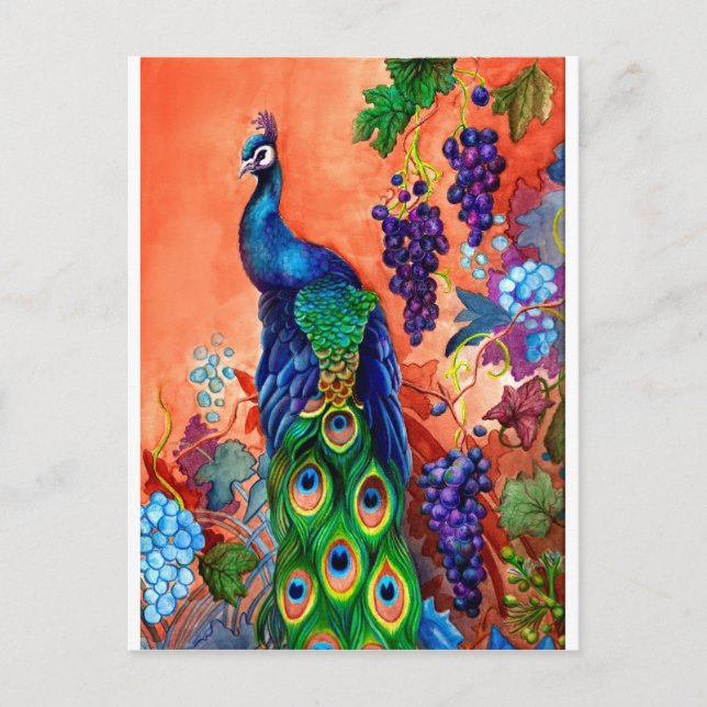 Cartão Postal Trabalho de arte de Grama de Peacock (Frente)