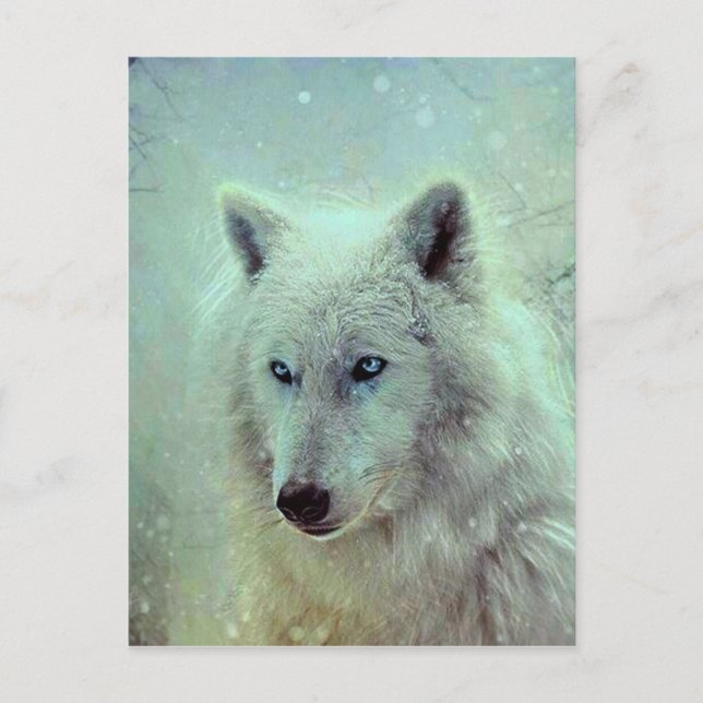 Cartão Postal Trabalho de arte de pintura de lobo-olhos-azuis (Frente)