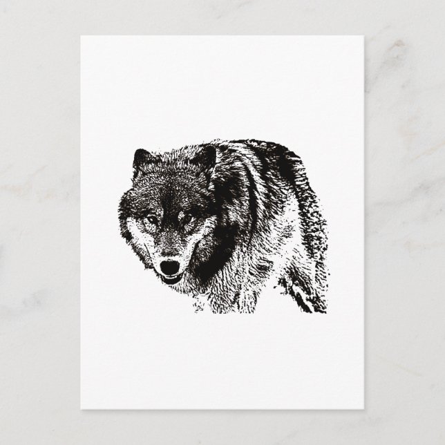 Cartão Postal Trabalho de arte de Preto e Branco do Lobo Selvage (Frente)