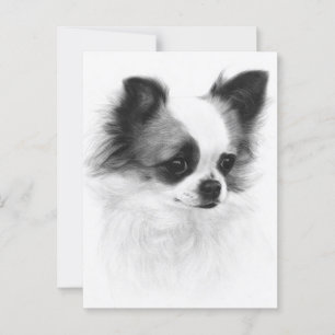 Cartão Postal Trabalho de arte Pintado à Mão Chihuahua