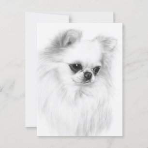 Cartão Postal Trabalho de arte Pintado com a mão de Chihuahua
