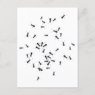 Cartão Postal Trabalho em equipe faz o Dream Trabalhar