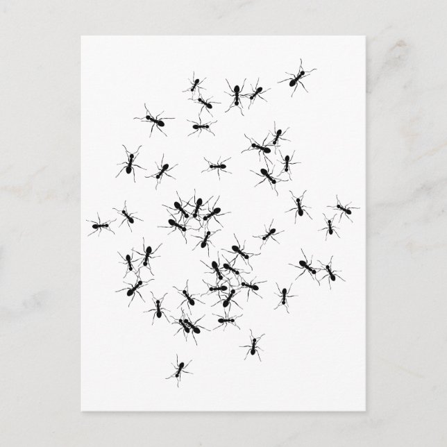 Cartão Postal Trabalho em equipe faz o Dream Trabalhar (Frente)