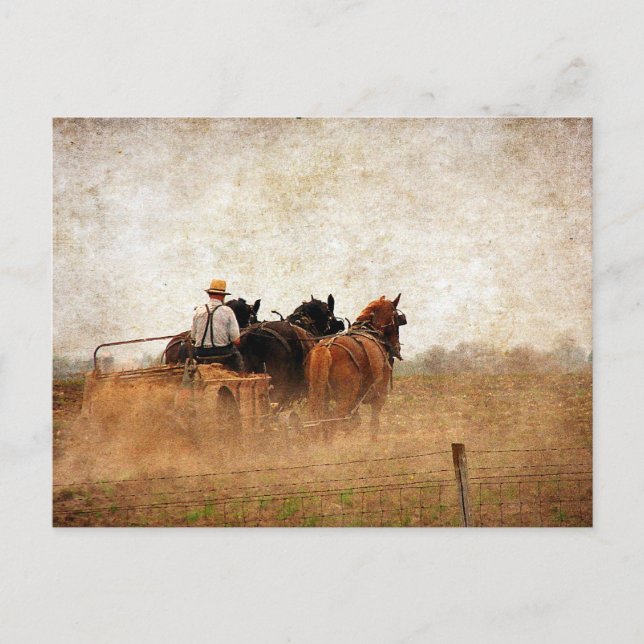 Cartão Postal Trabalho no Campo Alimentado com Cavalos (Frente)