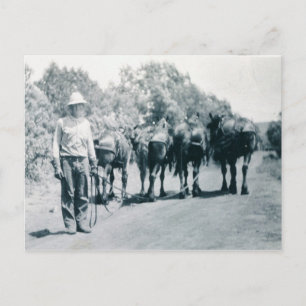 Cartão Postal Trabalhos de manhã