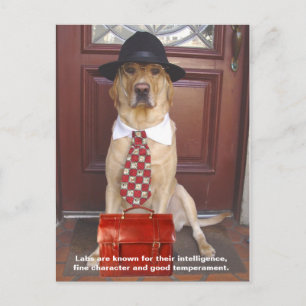 Cartão Postal Traços do laboratório - Baixo caráter