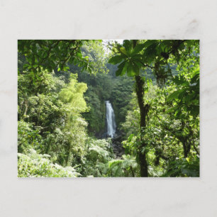 Cartão Postal Traffic Falls Tropical RainForest Fotografia