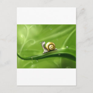 Cartão Postal Tranquilidade