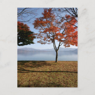 Cartão Postal Tranquilidade