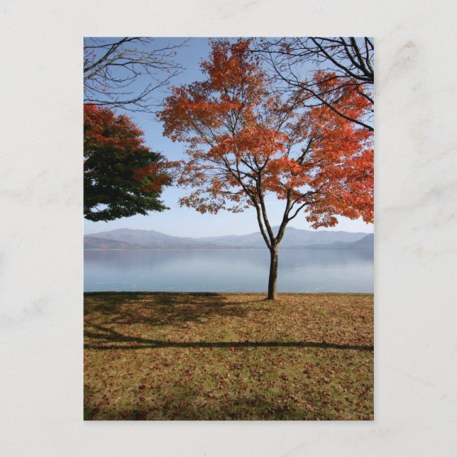 Cartão Postal Tranquilidade (Frente)