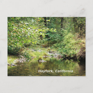 Cartão Postal Tranquilidade na floresta.......