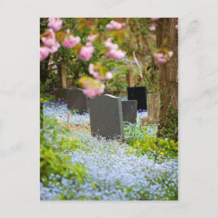 Cartão Postal Tranquilidade selvagem, belo quintal. Hopwas UK