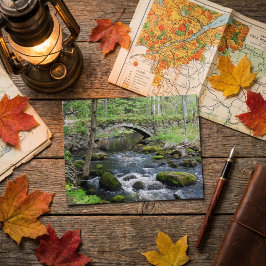 Cartão Postal Transformação em Águas: Ponte Rodoviária Gleason F
