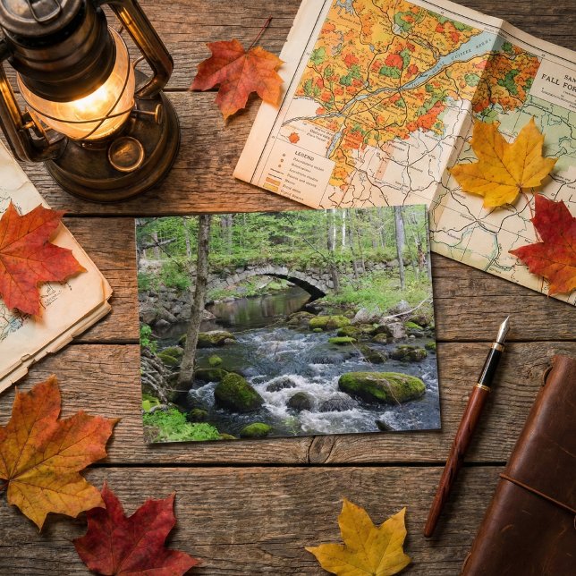 Cartão Postal Transformação em Águas: Ponte Rodoviária Gleason F (Criador carregado)