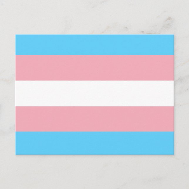 Cartão Postal Transgender Flag (Frente)