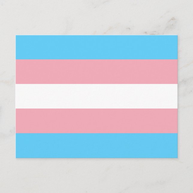 Cartão Postal Transgender pride flag Postcard (Frente)
