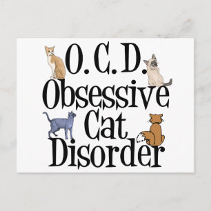 Cartão Postal Transtorno Obsessivo de Gatos