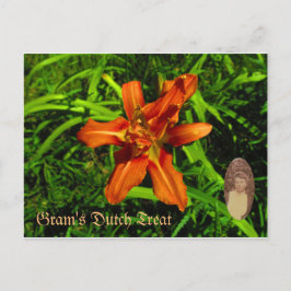 Cartão Postal Tratamento Holandês da Vovó