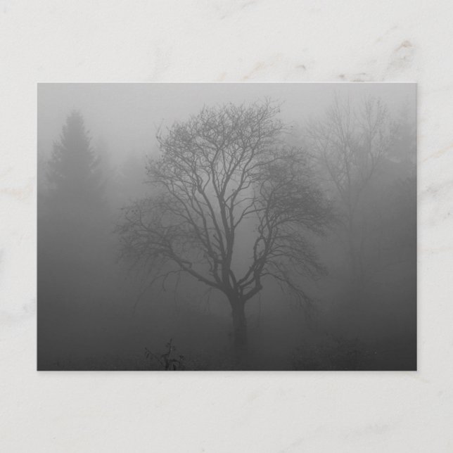 Cartão Postal Trauerkarte (Frente)