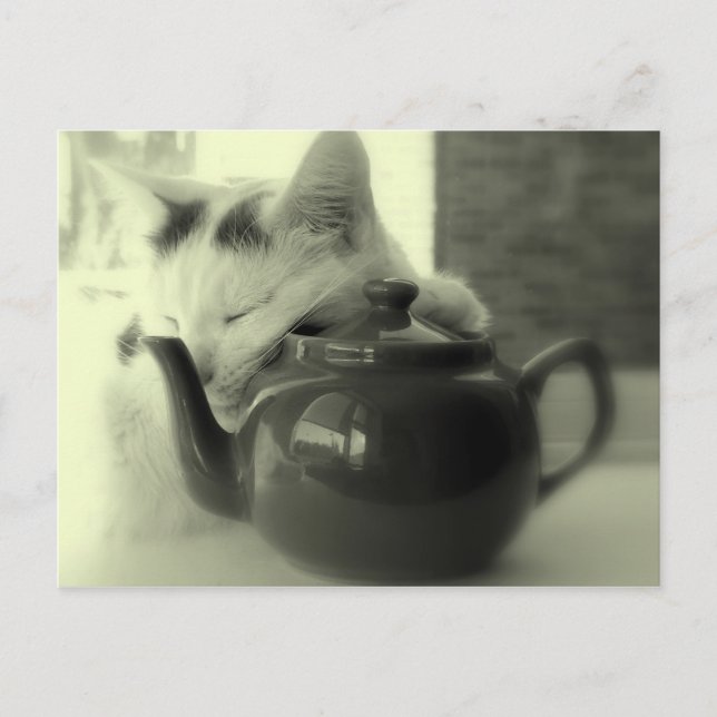 Cartão Postal Travesseiro do bule (Frente)