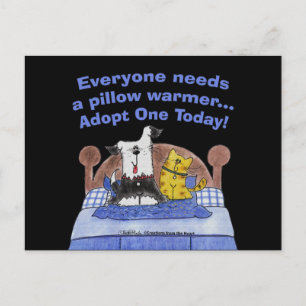 Cartão Postal Travesseiro Warmers