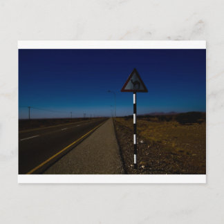 Cartão Postal Travessia de camelo