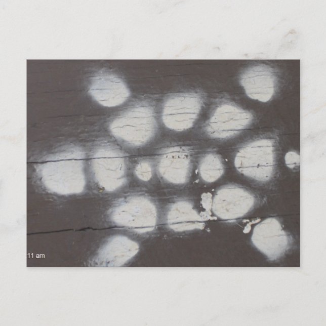 Cartão Postal travessia de tartaruga (Frente)