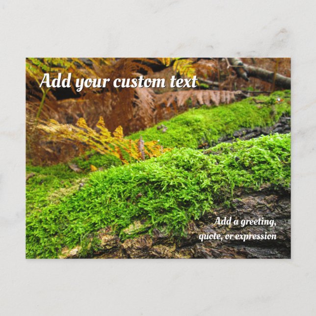 Cartão Postal Tree Bark in Autumn Moss - Personalised (Frente)