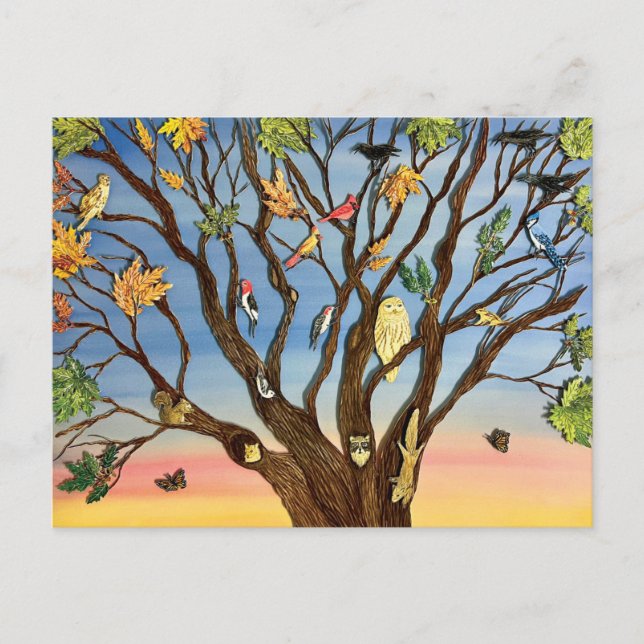 Cartão Postal Tree Canopy Postcard (Frente)