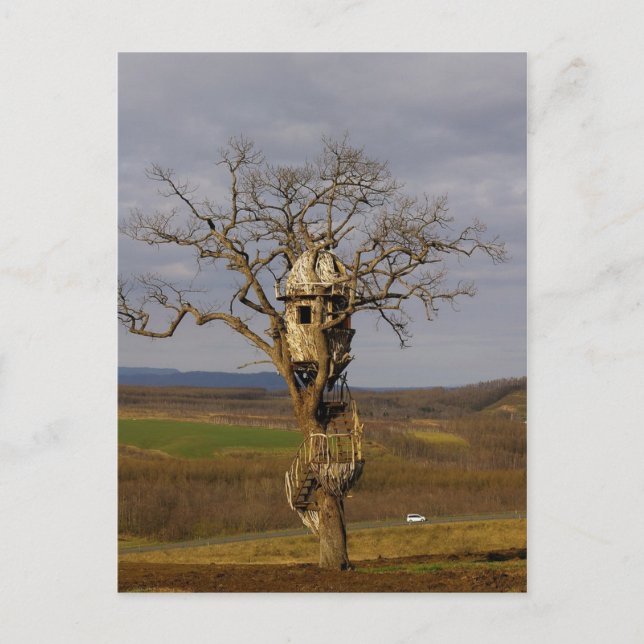 Cartão Postal Tree House (Frente)